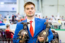 Італійський хорт розплідника Flora Style | Dervisch Olympia Flora Style
